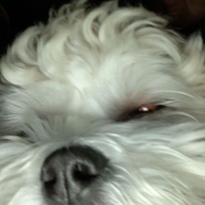 Meet your Posher, Kaitlyn